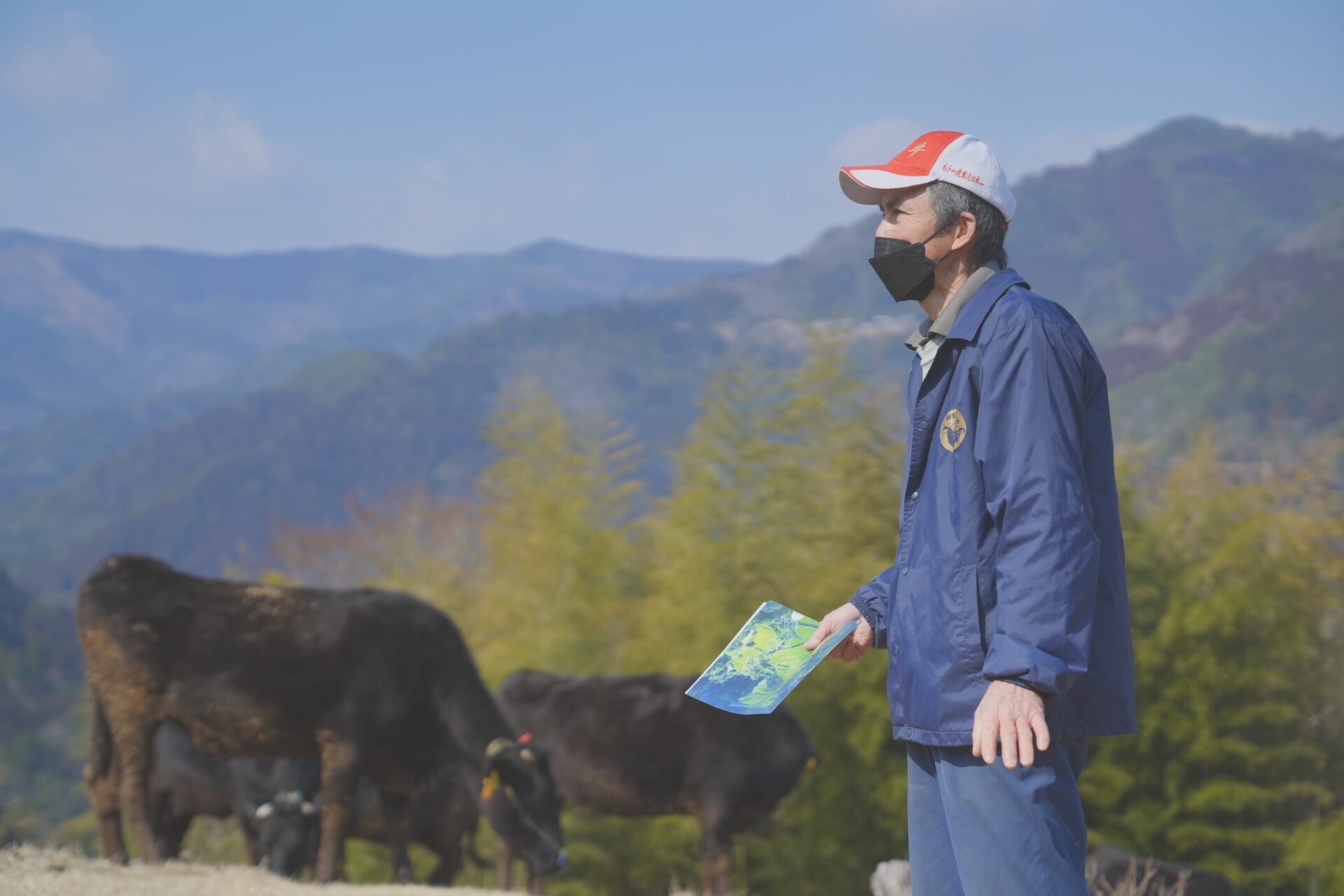 行くと概念変わりそう、椎葉村のそんな暮らしと生活