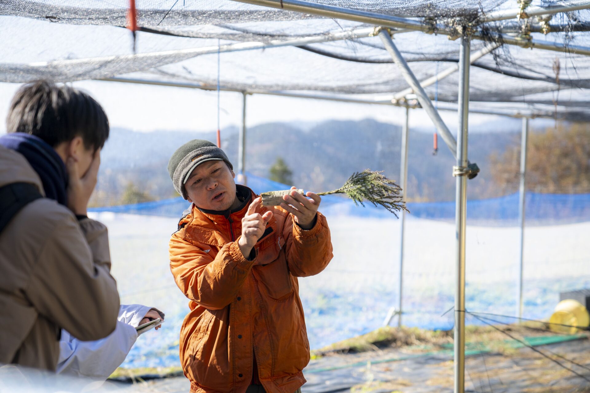 諸塚村で営む林業